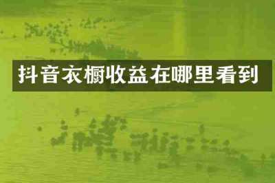 抖音衣橱收益在哪里看到