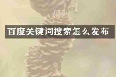 百度关键词搜索怎么发布