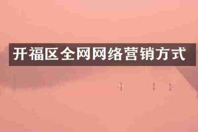 开福区全网网络营销方式