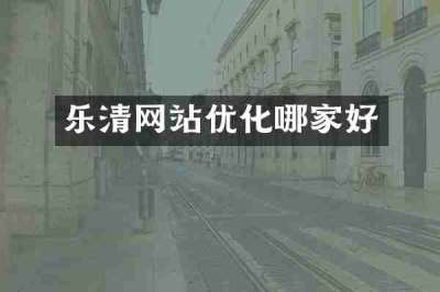 乐清网站优化哪家好
