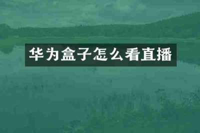 华为盒子怎么看直播