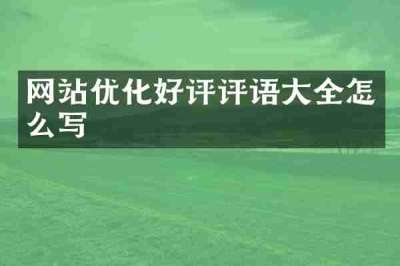 网站优化好评评语大全怎么写