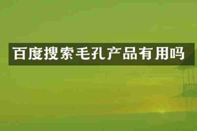 百度搜索毛孔产品有用吗