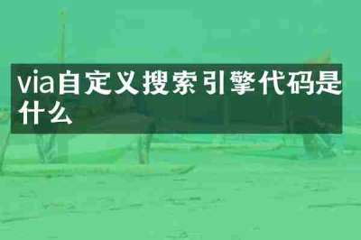 via自定义搜索引擎代码是什么
