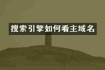 搜索引擎如何看主域名