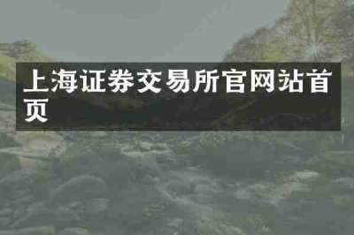 上海证券交易所官网站首页