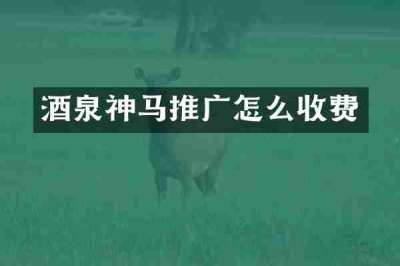 酒泉神马推广怎么收费