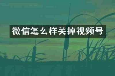 微信怎么样关掉视频号
