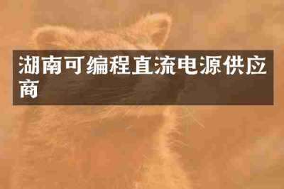 湖南可编程直流电源供应商