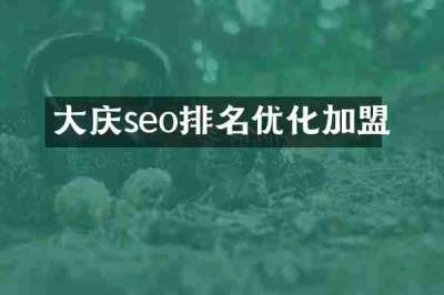 大庆seo排名优化加盟