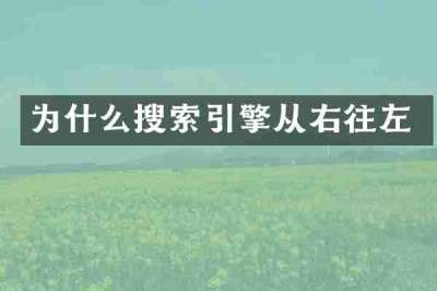 为什么搜索引擎从右往左