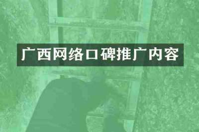 广西网络口碑推广内容