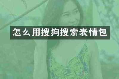 怎么用搜狗搜索表情包