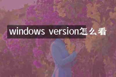 windows version怎么看