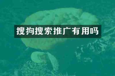 搜狗搜索推广有用吗