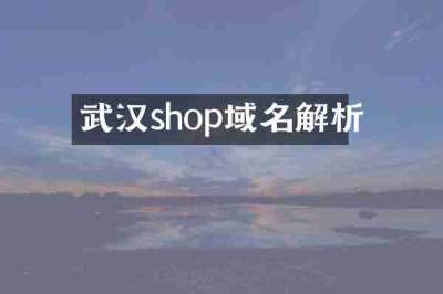 武汉shop域名解析