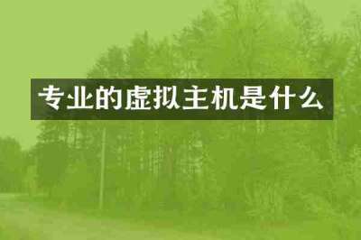 专业的虚拟主机是什么