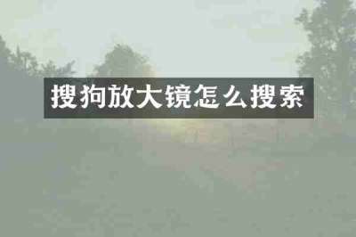 搜狗放大镜怎么搜索