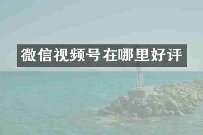 微信视频号在哪里好评