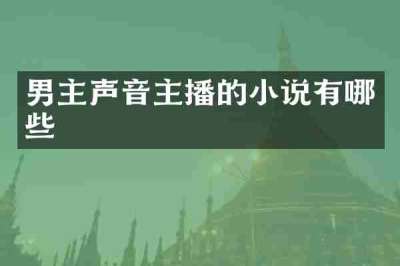男主声音主播的小说有哪些