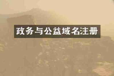 政务与公益域名注册