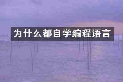 为什么都自学编程语言