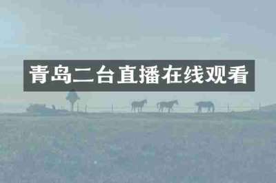 青岛二台直播在线观看