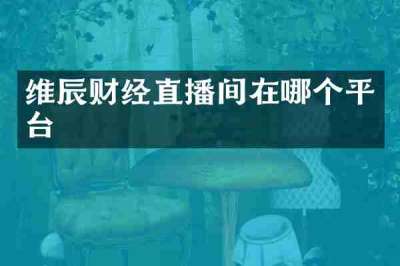 维辰财经直播间在哪个平台