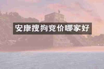 安康搜狗竞价哪家好