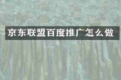京东联盟百度推广怎么做