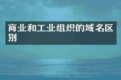 商业和工业组织的域名区别