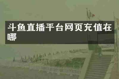 斗鱼直播平台网页充值在哪
