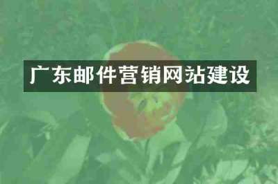 广东邮件营销网站建设