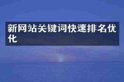 新网站关键词快速排名优化