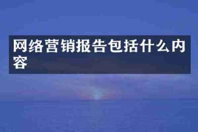 网络营销报告包括什么内容