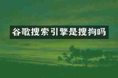 谷歌搜索引擎是搜狗吗