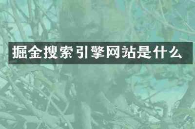 掘金搜索引擎网站是什么