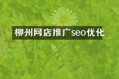柳州网店推广seo优化