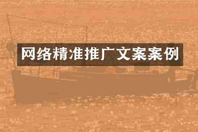 网络精准推广文案案例