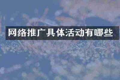 网络推广具体活动有哪些