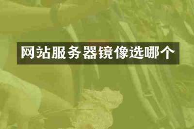 网站服务器镜像选哪个