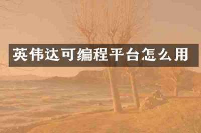 英伟达可编程平台怎么用