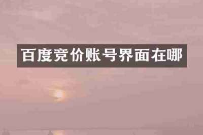 百度竞价账号界面在哪