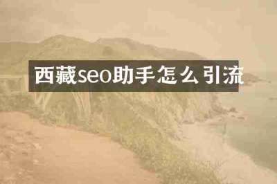 西藏seo助手怎么引流