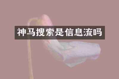 神马搜索是信息流吗