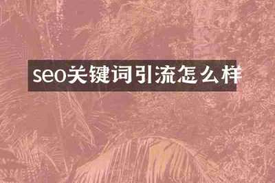 seo关键词引流怎么样
