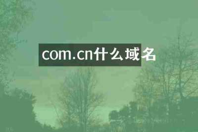 com.cn什么域名