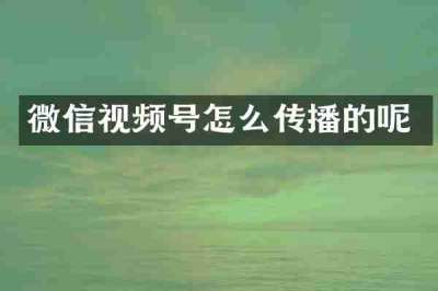 微信视频号怎么传播的呢