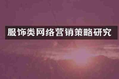 服饰类网络营销策略研究