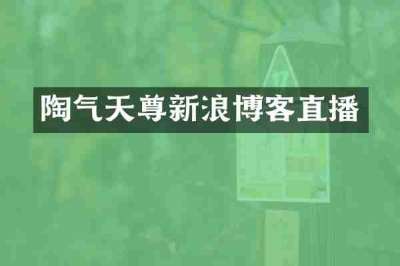 陶气天尊新浪博客直播